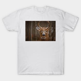 White-tailed Deer T-Shirt